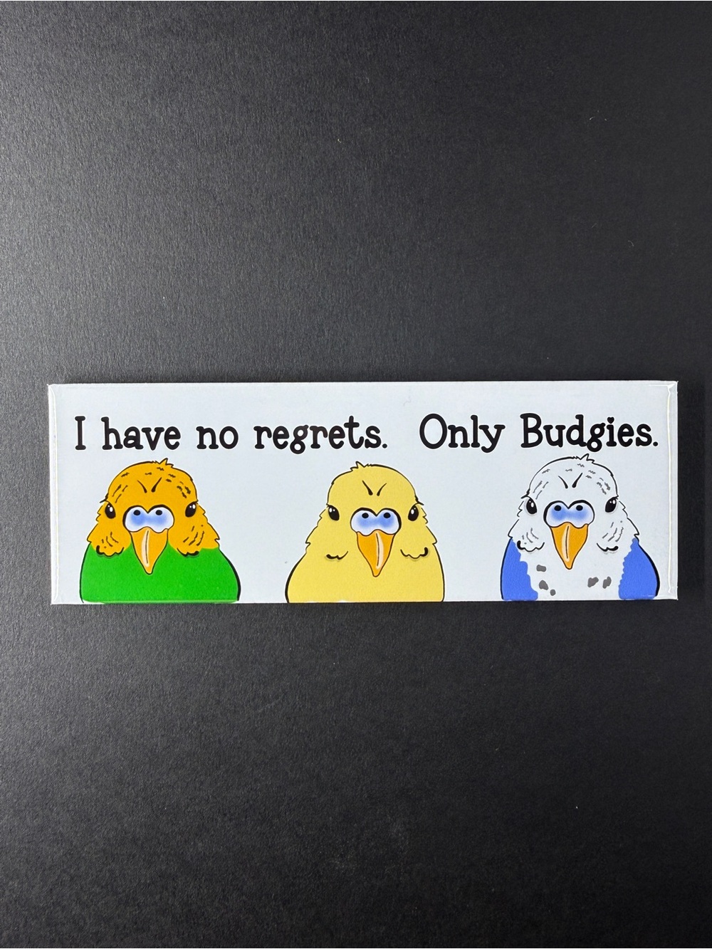 I Have No Regrets, Only Budgies Magnet, Handmade & Hand Illustrated 1.5x4.5”